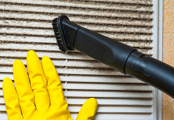 Best Affordable Air Duct Cleaning  in Bay City, MI